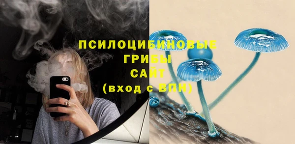 ешки Алексин