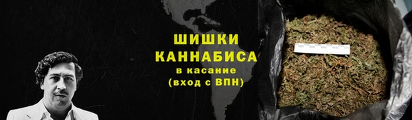 стаф Осинники