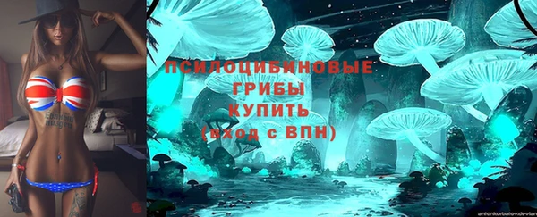 не бодяженный Абаза