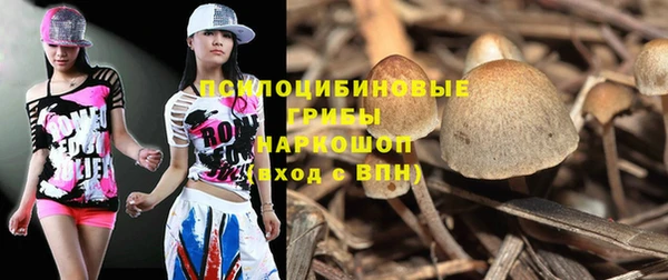не бодяженный Абаза