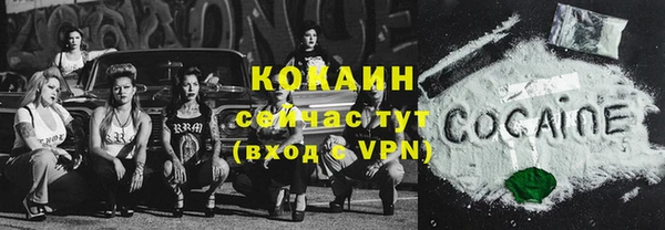 ешки Алексин
