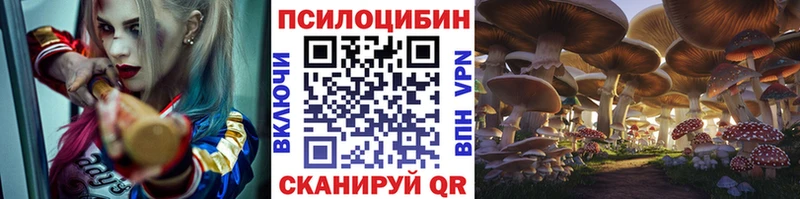 что такое   Дубна  KRAKEN   Псилоцибиновые грибы прущие грибы 