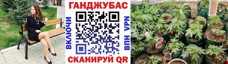 Марихуана семена  Дубна 
